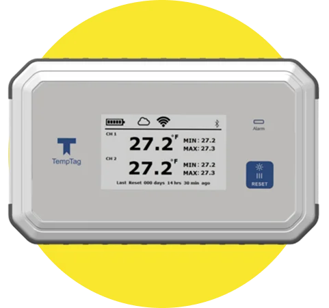 Group 1171277073 (2)