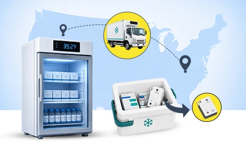cold chain section image